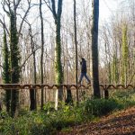 What if Trees Were Architects Designing with Nature’s Logic-Sheet8