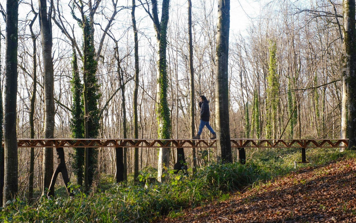 What if Trees Were Architects Designing with Nature’s Logic-Sheet8