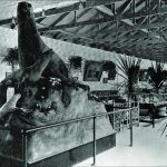 Lost in Time Sutro Baths, San Francisco 1886-1966-Sheet4