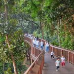 Micro Forest Trail, Mumbai-Sheet1