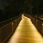 Micro Forest Trail, Mumbai-Sheet5