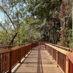 Micro Forest Trail, Mumbai-Sheet7