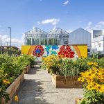 The Transformative Impact of Urban Agriculture on Neighborhood Revitalization and Community Interaction-Sheet1