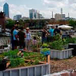 The Transformative Impact of Urban Agriculture on Neighborhood Revitalization and Community Interaction-Sheet3