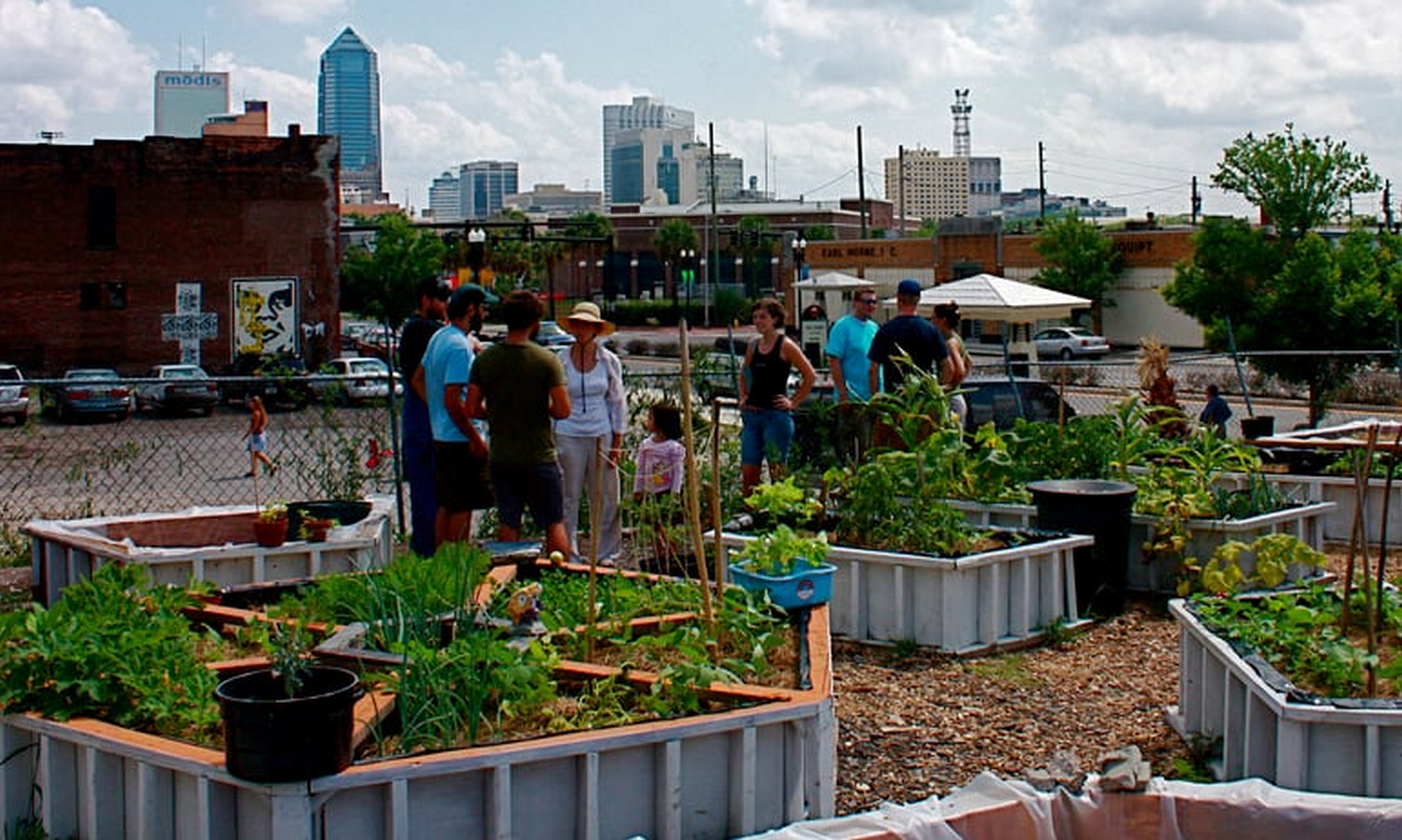 The Transformative Impact of Urban Agriculture on Neighborhood Revitalization and Community Interaction-Sheet3