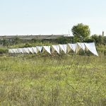 100 Linear Meters Pavilion by Eletres Studio-Sheet1