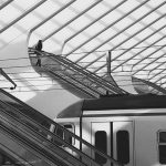 Project in-depth Liège-Guillemins Railway Station-Sheet5