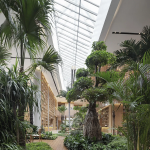 Where the Mind Rests Designing the Architecture of Comfort-Sheet3
