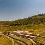 Wine Cellar of the Quinta de Adorigo by Atelier Sergio Rebelo-Sheet1