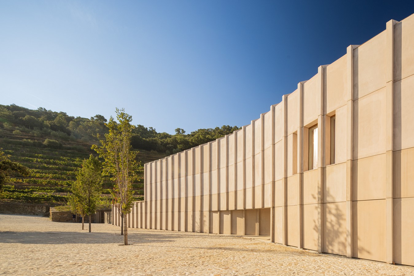Wine Cellar of the Quinta de Adorigo by Atelier Sergio Rebelo-Sheet3