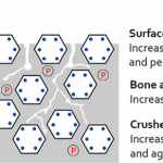 Next-Gen Materials Why Carbon-Storing Buildings Are the Future of Design-Sheet1