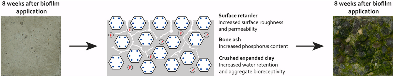 Next-Gen Materials Why Carbon-Storing Buildings Are the Future of Design-Sheet1