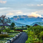 Viveda Wellness Retreat, Nashik-Sheet11