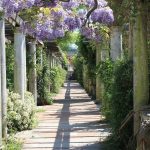 The Hill Garden and Pergola, London-Sheet2
