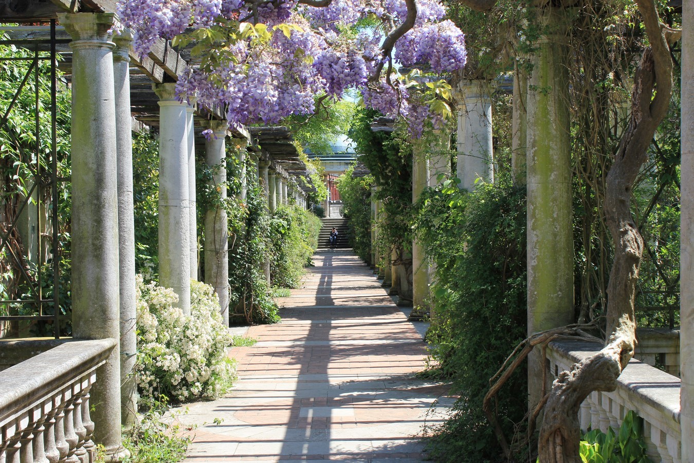 The Hill Garden and Pergola, London-Sheet2