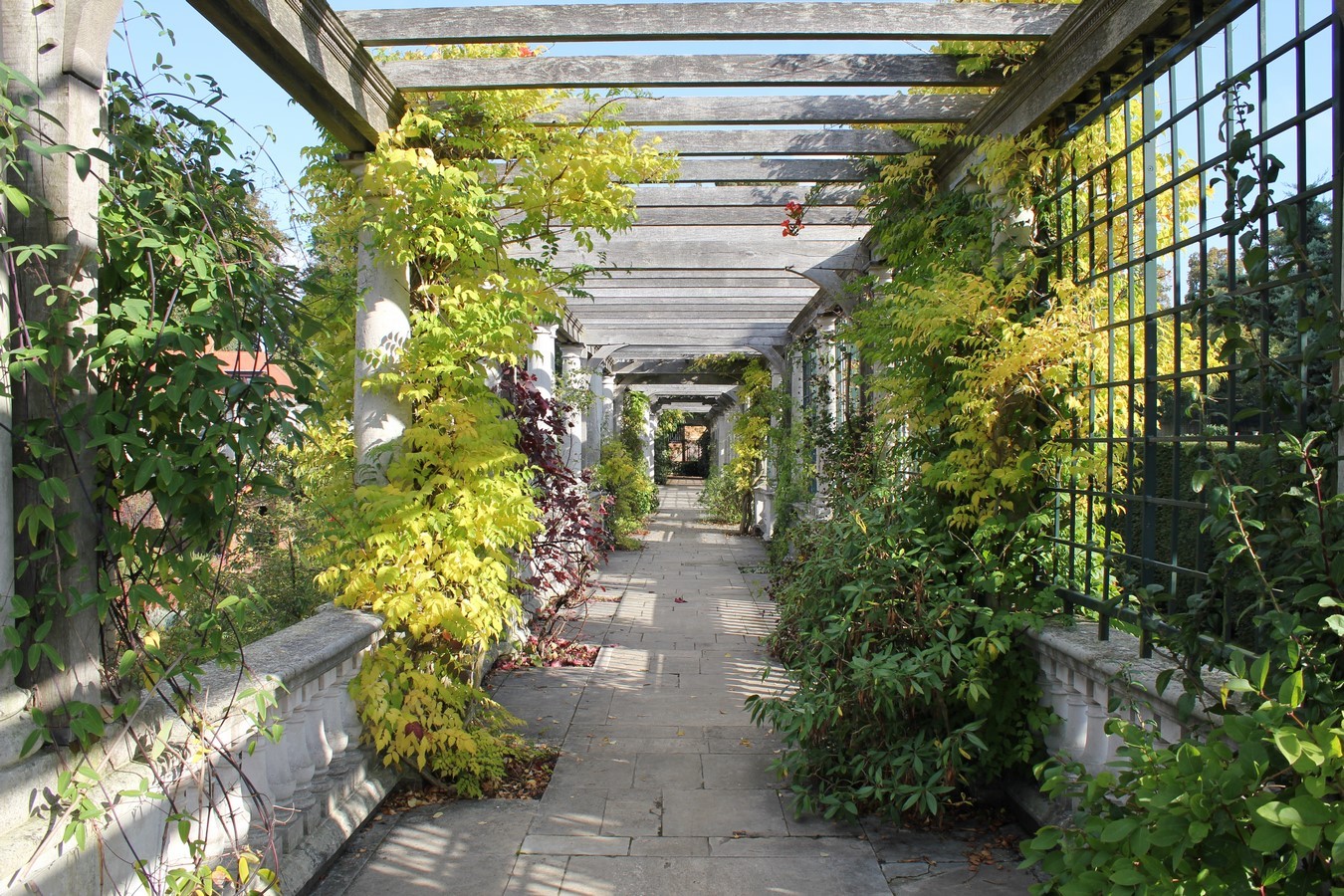 The Hill Garden and Pergola, London-Sheet3