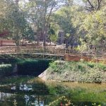 Shilparamam Craft Village, Madhapur, Hyderabad-Sheet3