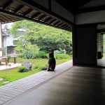 The Architecture of Joy Emotional Well-being Through Space and Light-Sheet9