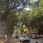 Street edges and why the “in-between” space matters-Sheet4