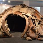 A World Without Architecture The Human Cost-Sheet3