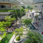 Can biophilic design calm city life-Sheet5