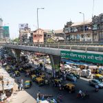 Mumbai’s Flyovers The Forest We Accidentally Built-sHEET2