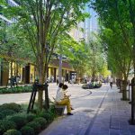 When Cities Feel Hotter Than They Should The Role of Urban Thermal Design-Sheet3