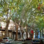 When Cities Feel Hotter Than They Should The Role of Urban Thermal Design-Sheet4