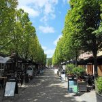 When Cities Feel Hotter Than They Should The Role of Urban Thermal Design-Sheet5