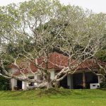 Architecture as a Form of Hospitality Memory Lunuganga Estate in Sri Lanka-Sheet1