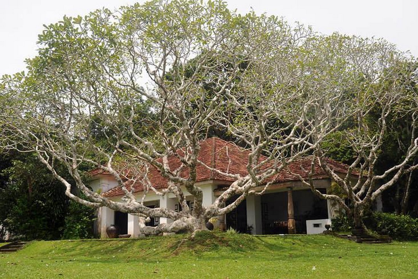 Architecture as a Form of Hospitality Memory Lunuganga Estate in Sri Lanka-Sheet1
