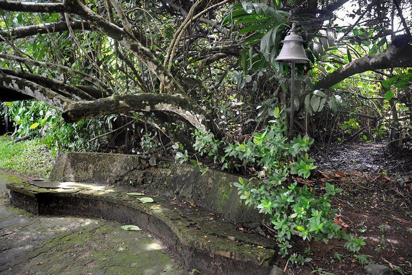 Architecture as a Form of Hospitality Memory Lunuganga Estate in Sri Lanka-Sheet12