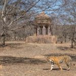 Forts in the world Ranthambore Fort, Rajasthan-Sheet1