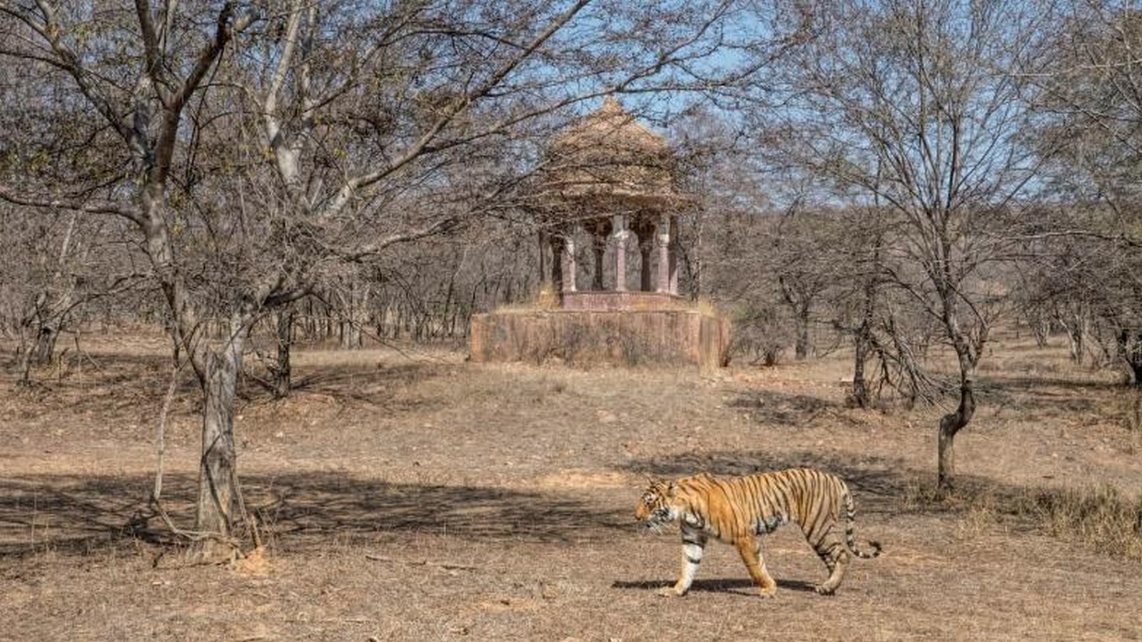Forts in the world Ranthambore Fort, Rajasthan-Sheet1