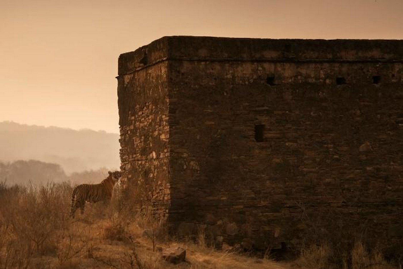 Forts in the world Ranthambore Fort, Rajasthan-Sheet2