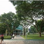 Landscapes of Care Everyday Parks as Urban Therapy-Sheet3