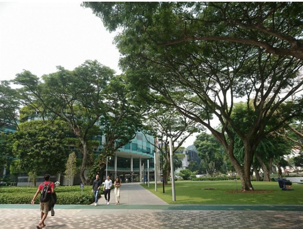 Landscapes of Care Everyday Parks as Urban Therapy-Sheet3