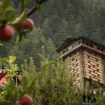 Adaptive Resilience Learning from Vernacular Architectures of the Himalayas-Sheet1