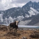 Adaptive Resilience Learning from Vernacular Architectures of the Himalayas-Sheet7