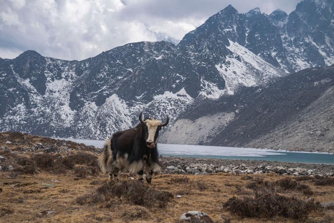Adaptive Resilience Learning from Vernacular Architectures of the Himalayas-Sheet7