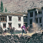 Adaptive Resilience Learning from Vernacular Architectures of the Himalayas-Sheet8