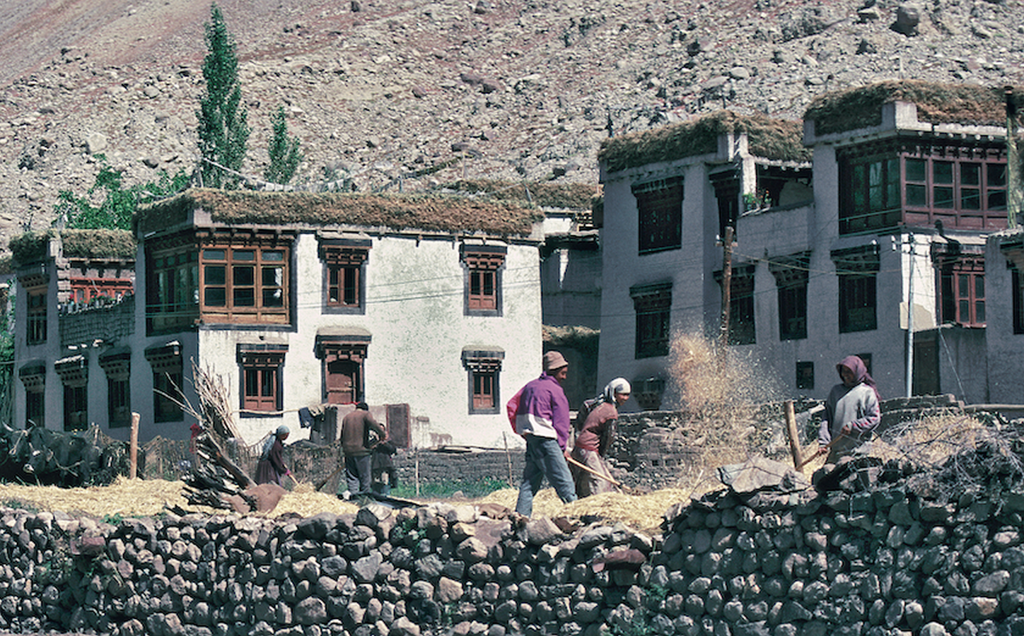 Adaptive Resilience Learning from Vernacular Architectures of the Himalayas-Sheet8