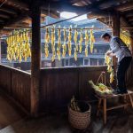 Silent Stories Adaptive Reuse as a Language of Memory-Sheet5
