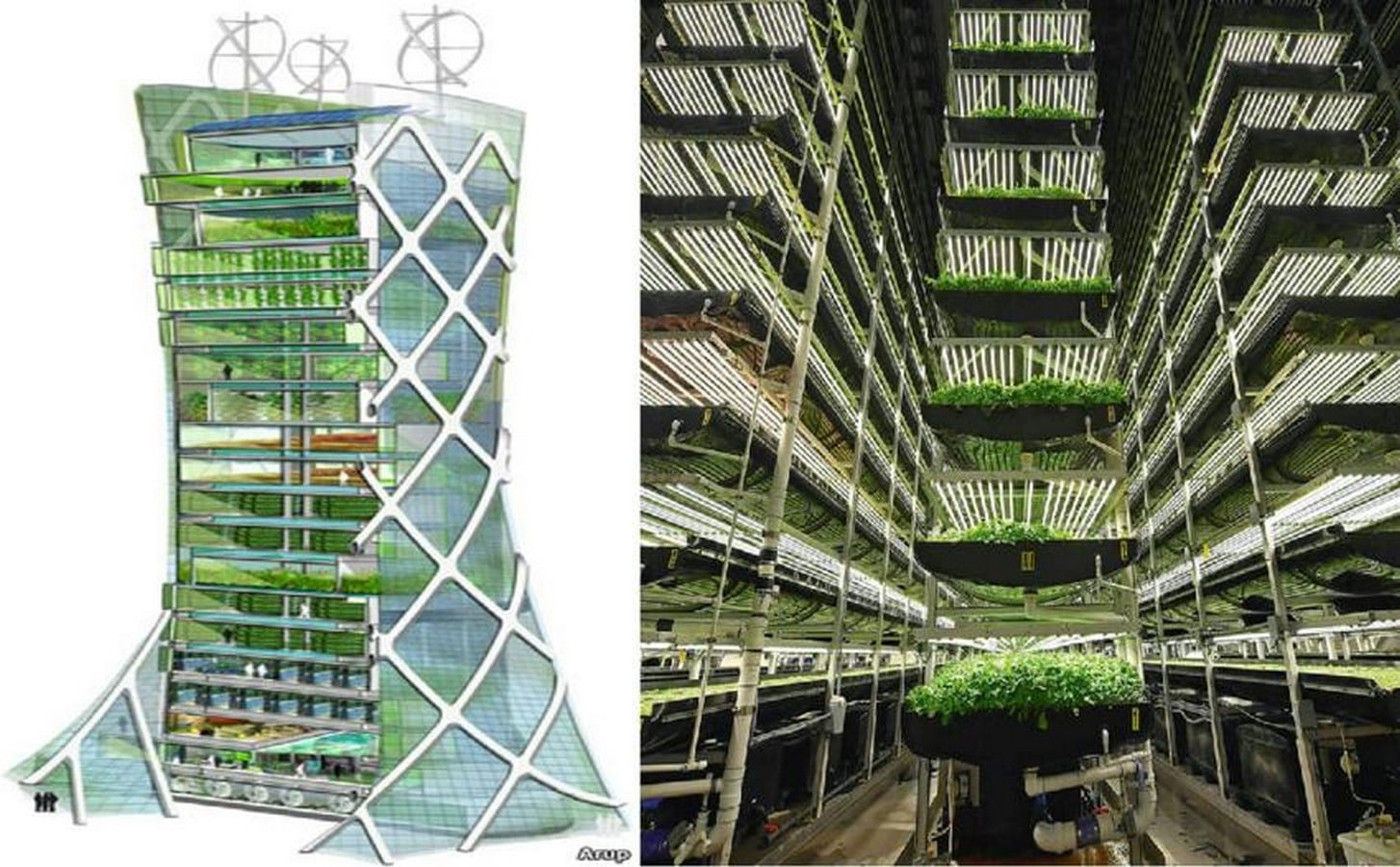 Urban farming towers integrating agriculture with high-rises in the Middle East-Sheet3