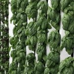 Urban farming towers integrating agriculture with high-rises in the Middle East-Sheet4