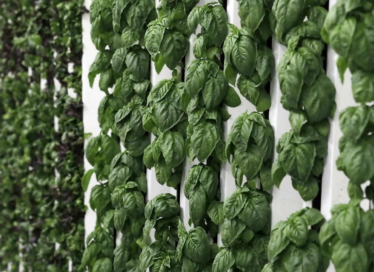 Urban farming towers integrating agriculture with high-rises in the Middle East-Sheet4