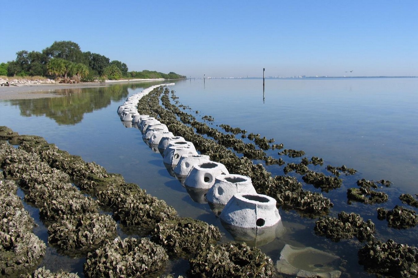 Soil, Air, Water as Clients Buildings That Repair Specific Ecological Flows-Sheet1
