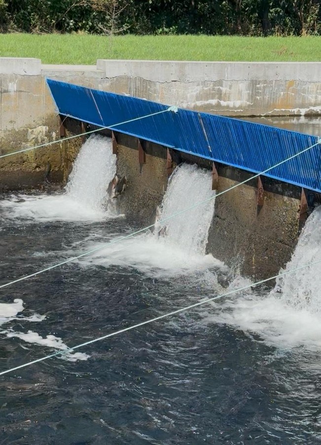Soil, Air, Water as Clients Buildings That Repair Specific Ecological Flows-Sheet3