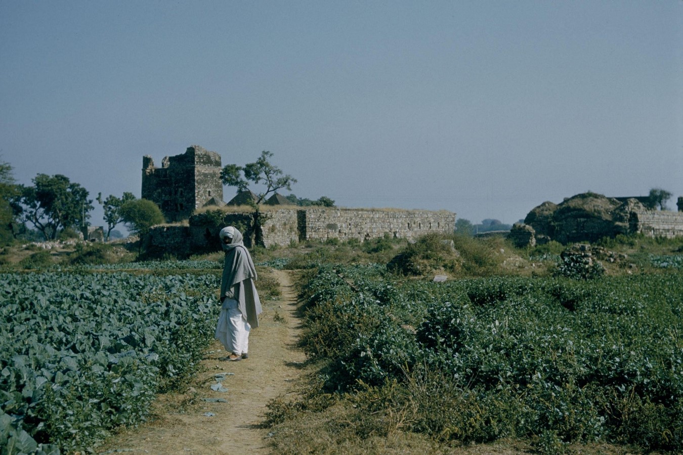 Sarai Shahji Mahal, Malviya Nagar, Delhi-Sheet2