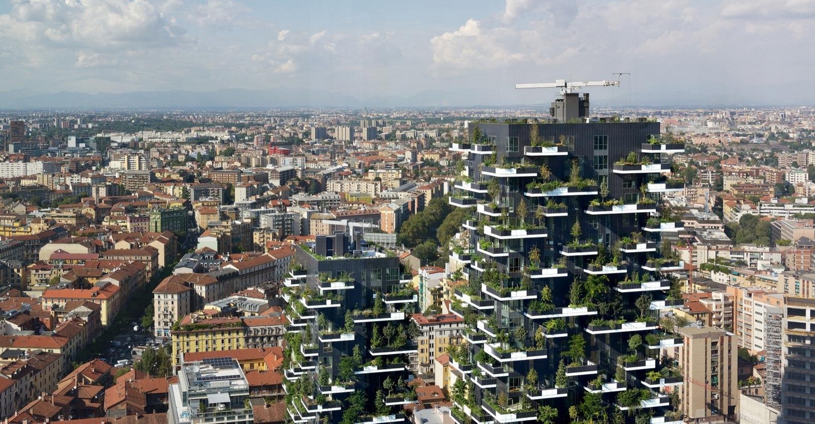 Going Green for the Gram Beyond Greenwashing That is Growing as an Effective Marketing Tool-Sheet4
